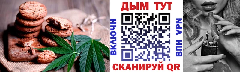 дарнет шоп  Трубчевск  omg   Canna-Cookies конопля 