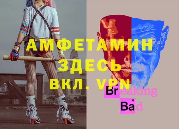 дурь Магас